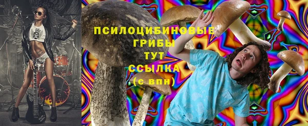 тгк Няндома