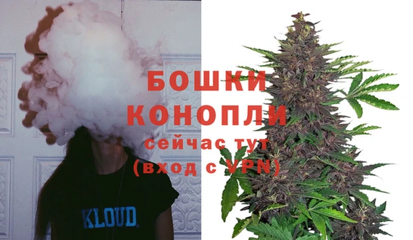 тгк Няндома