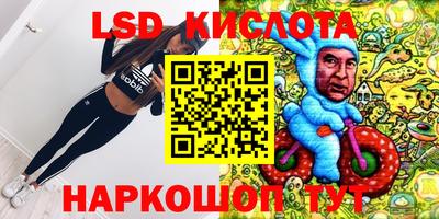 гидра Берёзовский