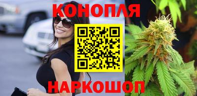 гидра Берёзовский