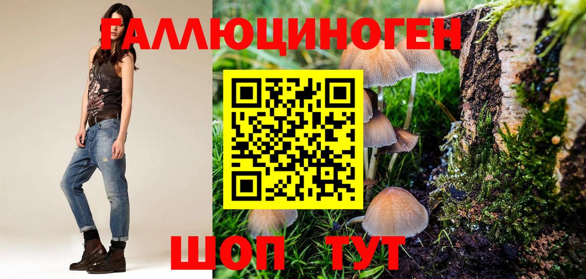 Галлюциногенные грибы Magic Shrooms Полысаево