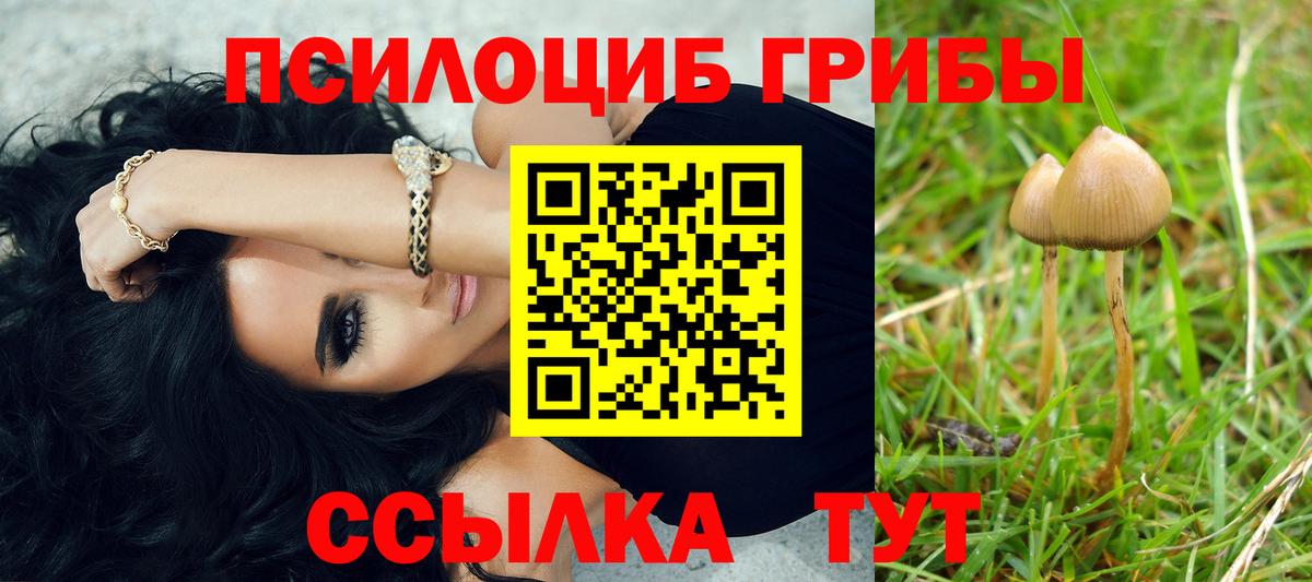 Галлюциногенные грибы мухоморы  Вход с VPN  Полысаево 